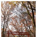 동학사 매표소 이미지