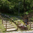 냉천골약수터 이미지