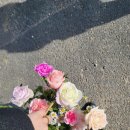 여남초등학교 | 여수원데이클래스출강