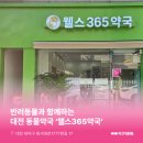 웰스365약국 네이버블로그