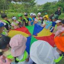 오금숲어린이집 이미지