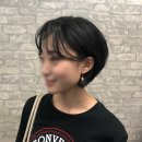 오브르헤어 이미지