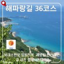[해파랑길 36코스] 정동진역에서 안인해변까지! 괘방산 능선따라 걷는 숨겨진 상급 코스 총정리
