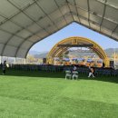 산동주막 | 구례산수유축제 후기) 3월 축제/개화•만개 현황/ 먹거리•주차 꿀팁