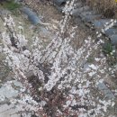 김동훈한의원 이미지