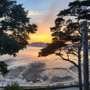 펜션 향 이미지