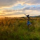 영산강서창들녘억새길 이미지