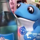 인형의 거리(돼지) 이미지