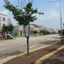 향남신도시주유소 이미지