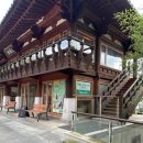 (자)보성운수 | 전남 담양 가볼만한곳 담양여행 겨울에도 방문하기 좋은 대나무정원 죽녹원(12/10 방문)