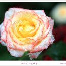 단비공원 이미지