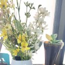 곡주나라 이미지