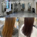 서현애견미용실 | 분당 서현역 미용실 살롱고은 가을 염색 추천 레드 브라운 톤다운