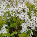 꿈누리유치원 이미지