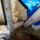 오목교 화장실 이미지