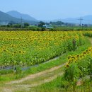 교동면 난정저수지 이미지