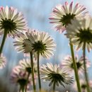 일번지무인호텔 이미지