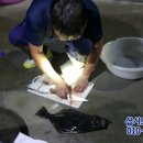 수루미민박