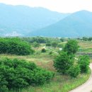 낙동강자전거길 이미지