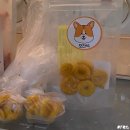 오간식 영등포점 | [영등포] - 오간식 반려동물 수제 간식 무인 매장 방문 내 돈 내 산 후기