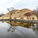 벚꽃이 가득할 그날을 기다리며, 경주 벚꽃 명소 답사여행 이미지