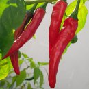 솔기아파트 이미지