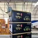 우정농장 | [ 부산-대저] 대저 짭짤이 토마토 구매후기 - 우정토마토 농장