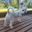 페어링 다이닝 이미지