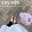 을숙도 수영장 : 서부산 장애인 스포츠센터 자유수영 후기❤(가격, 시간표)