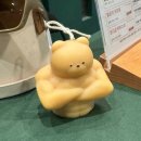 리라이프 휘트니스 | 직장인의 체력 기르기 : 체력을 위한 운동, 운동을 위한 체력