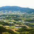 동막동(5) 이미지