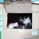 고택한옥에서 이미지