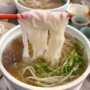 미아사이공 | 학동역 점심 맛집 추천｜베트남 감성 가득한 미아사이공 쌀국수 짜조 후기