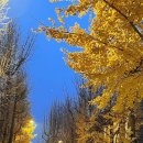 키움행정사 이미지