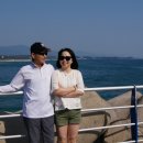 여행 - 화성시 사강시장길43번길 23 | 여행