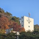 법주약국 네이버블로그