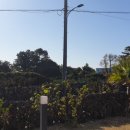 키즈키득펜션 이미지