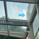 세니떼뷰티샵청학점 | 양천구 로프트가든344 리뉴얼 방문 후기