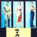 자이언트목장 이미지