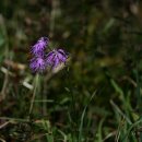 하늘정원 이미지