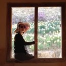 유형문화재 제43호 추사고택 주차장 이미지