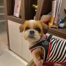 펫브릿지 김해점 이미지