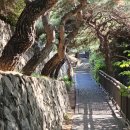 한양도성(남산구간) | 생활단편_12 한양도성길 남산구간