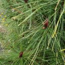 청도한의원 이미지