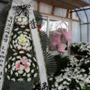 여주-0203 이미지