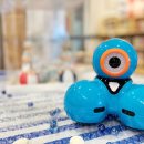 하바놀이학교어학원 이미지