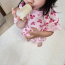 그로우하이 락토베이비 돌아기영양제 후기, 아기유산균추천