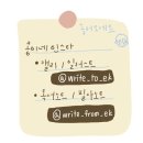 벨리스(bellis) 이미지