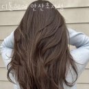 도로명미지정 | 안산 초지동 미용실 디톤헤어 안산초지점 업체 정보 후기