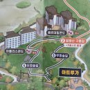 용평솔한증막 | [발왕산 우정숲길] 왕초보 40분 산책 코스